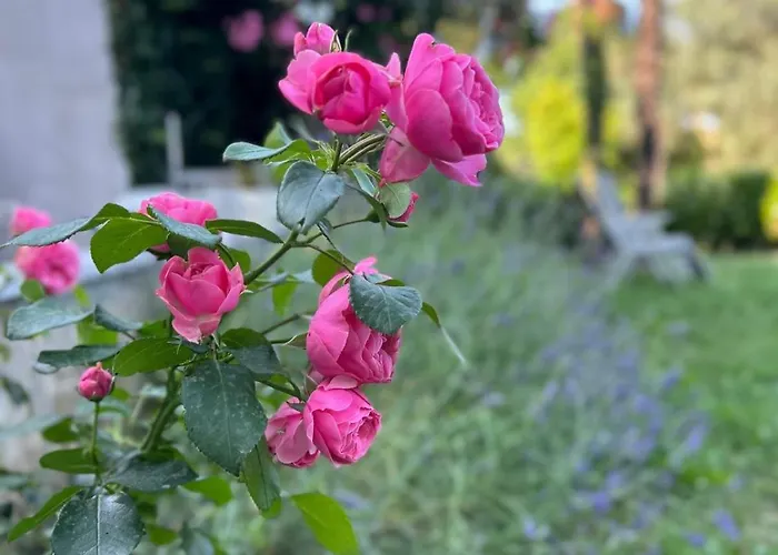 Apartament The View Opatija