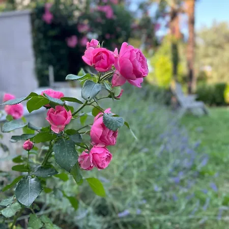 Апартаменты The View Опатия